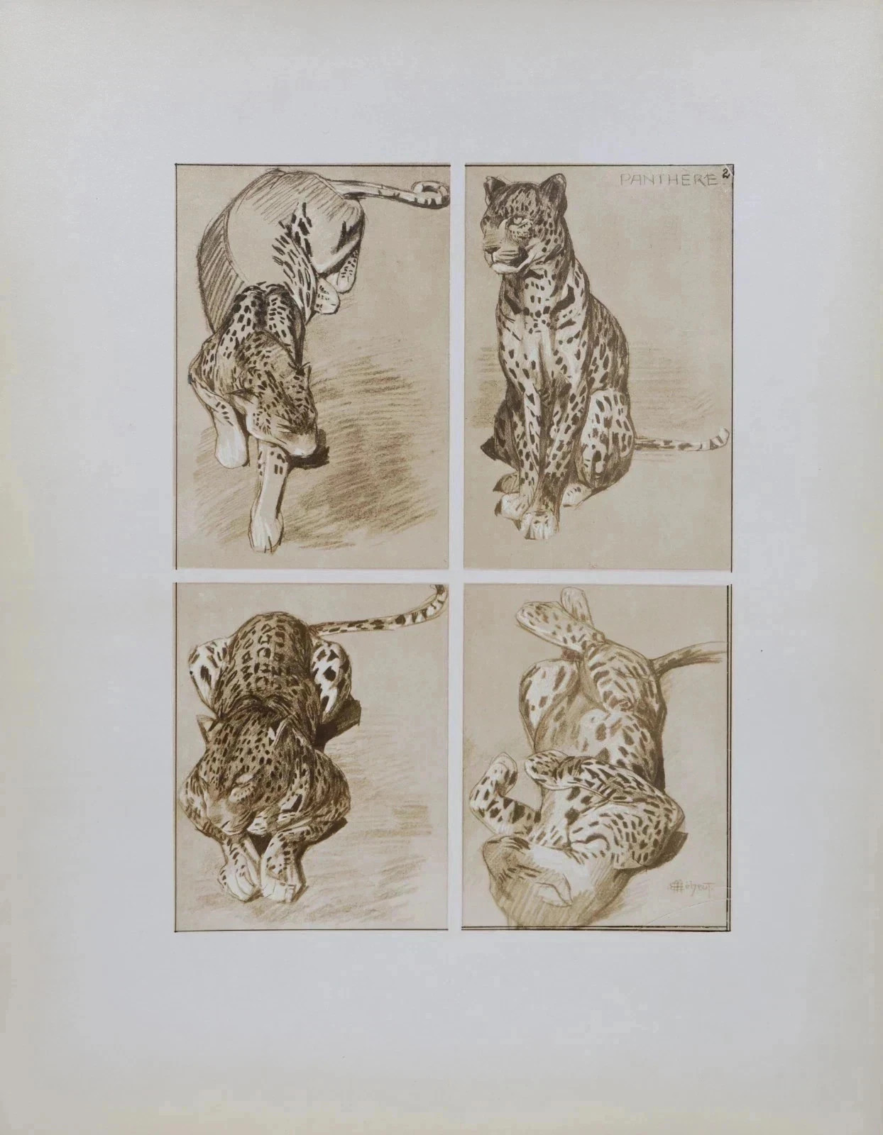 Mathurin Meheut: The Panther, Signed Lithograph, 1911 thumbnail 6