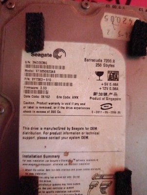 Seagate Barracuda 7200.8 250GB,Intern,7200RPM,8,89 cm (3,5 Zoll)...