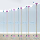 Yescom Static Spinning Dancing Pole Kit 10FT for Party Club Exercise,Colorful — photo 7
