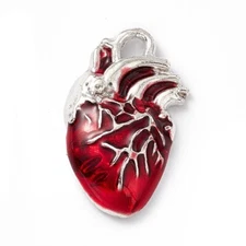Human Heart Charm Silver Anatomy Pendant Red Enamel Jewelry Findings 25mm