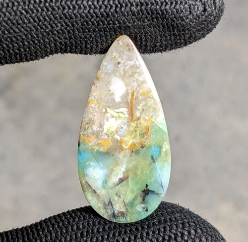 Blue Opalized Petrified Wood Loose Gemstone Cabochone 1FEB44 - 第 1/3 張圖片
