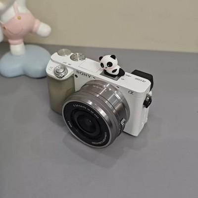 Sony Alpha a6100 APS-C Mirrorless Camera with 16-50mm Lens