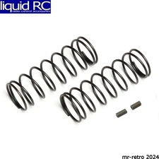 Associated 81213 Front Springs gray 4.7 lb/in