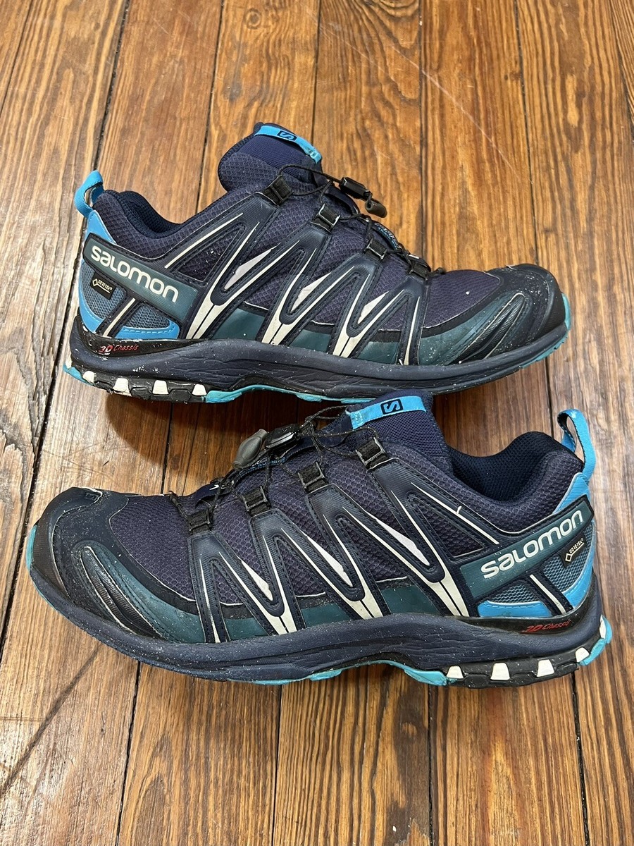 Salomon gore 2025 tex 3d chassis