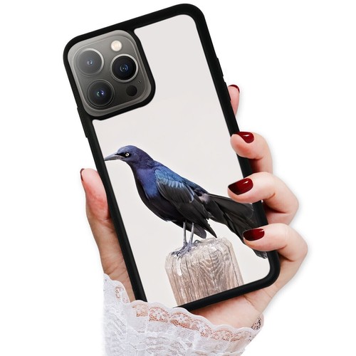 For iPhone SE XS XR Max 5 6 7 8 Plus Quiscalus boat tailed grackle Case Friendly - Picture 17 of 25