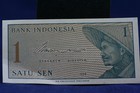 Foto 7 di 7