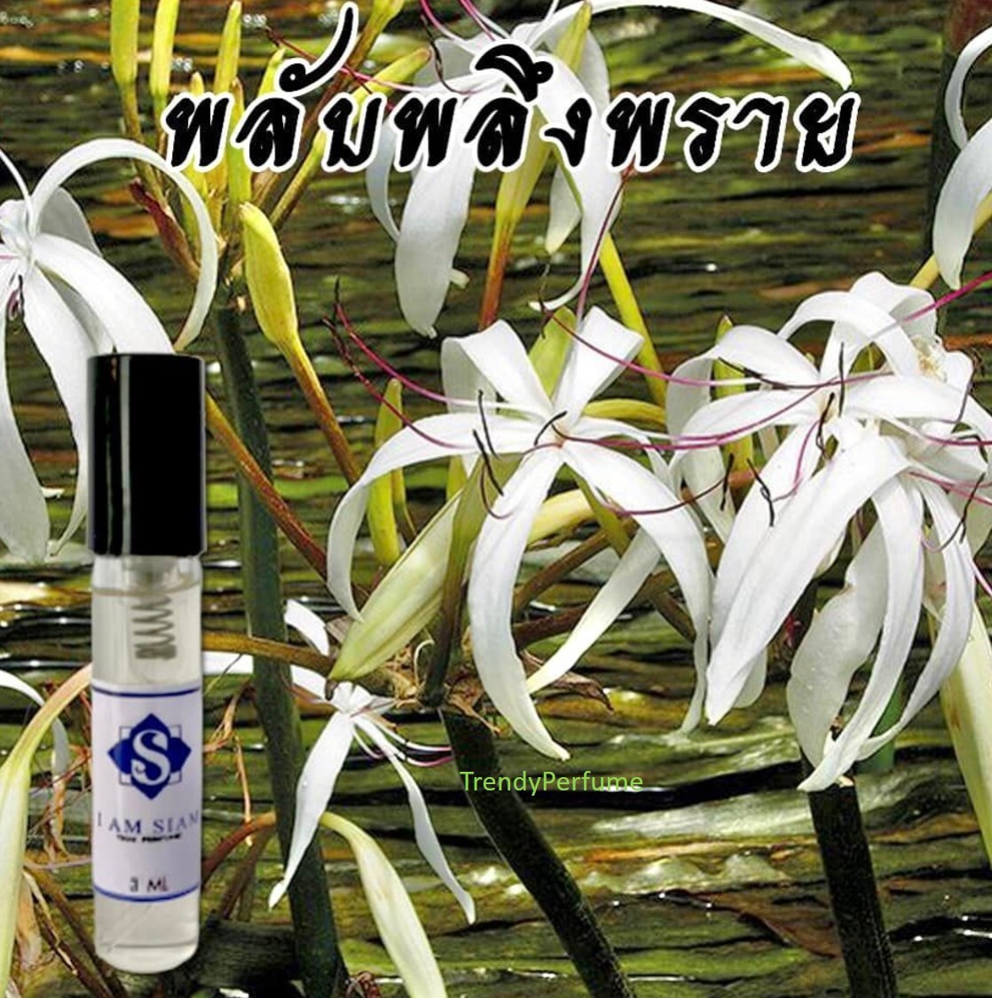i am siam thai perfume