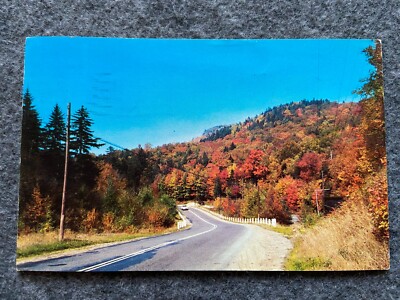 The Handiwork of Jack Frost's Autumn Vintage 1956 Postcard