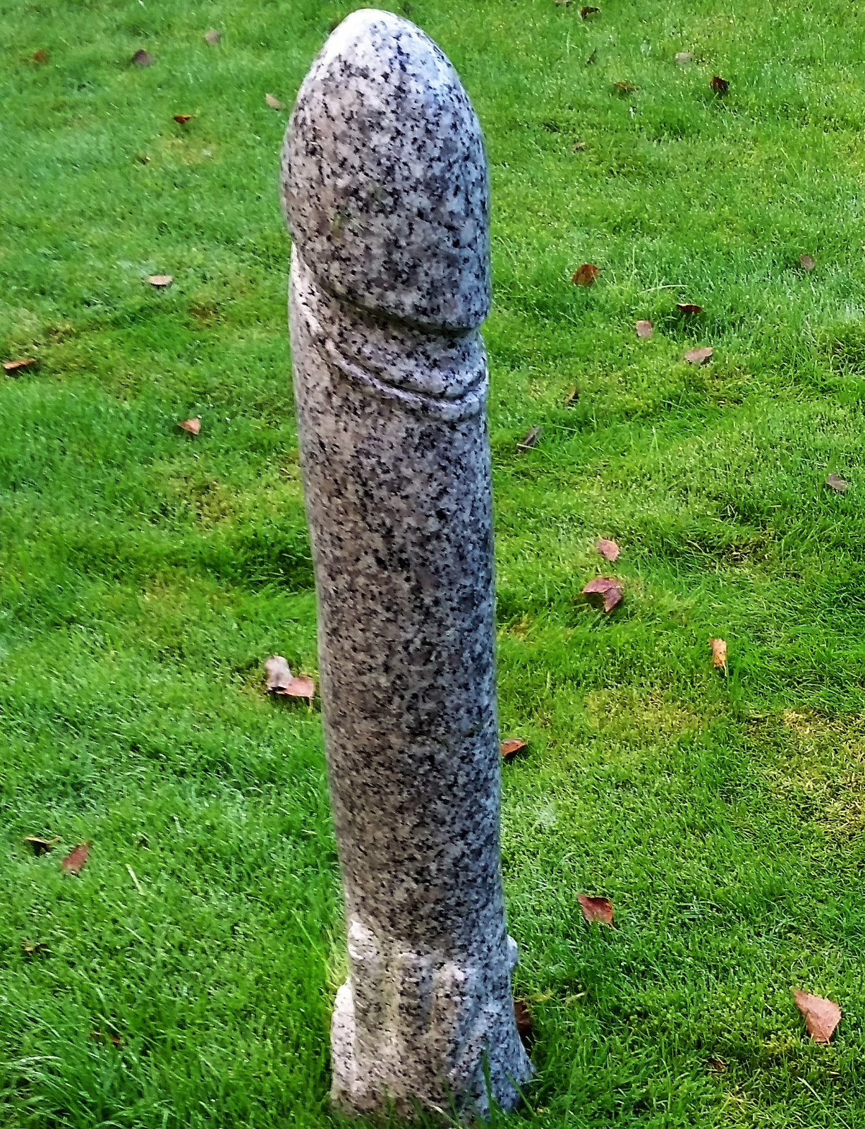 Bild 4 von 5
