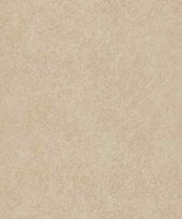 Vliestapete Used-Look Putz Struktur Creme Beige Gold Glitzer A61504 (4,48€/1Qm)