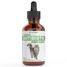 Natural Antibiotics for Cats | Cat Supplements | Cat Antibiotic | Cat Antibio...