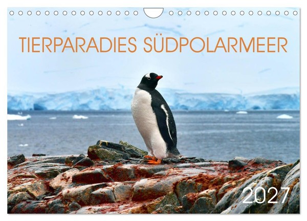 Calendar 2027 · US Version · Animal Paradise Southern Ocean (Wall Calendar 2027-image
