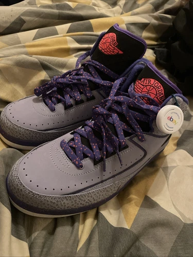 Air Jordan 2 Retro Iron Purple 2014 (Excellent Condition)