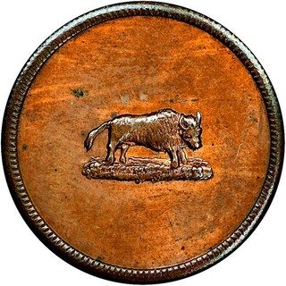 Cincinnati Ohio Civil War Token John Stanton Die Sinker Tiny Buffalo R7 NGC MS65