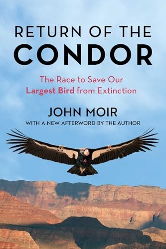 Return of the Condor: The Race to Save Our Largest Bird by John Moir (PB 2023) - Image 3