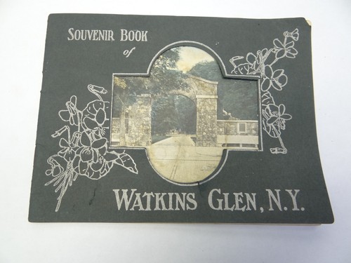 Vintage Old Souvenir Picture Book Waterfalls Caverns Watkins Glen New York - 第 7/12 張圖片