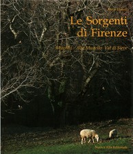 Le sorgenti di Firenze - Mario Vianelli (Nuova Alfa Editoriale) [1990]