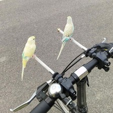 Parrot Handlebar Stand Parrots Handlebar Sturdy Chewing Biting Toy Portable