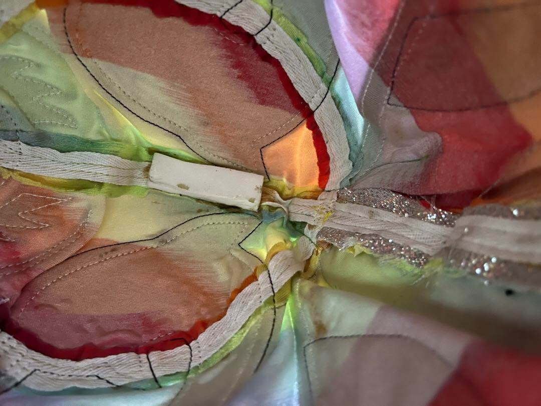 Super Delfin WRESTLING MASK Professional Wrestling autographed