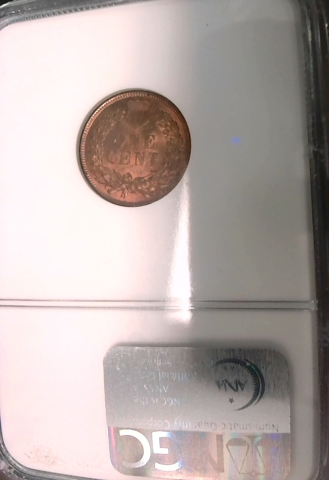 Picture 4 of 4