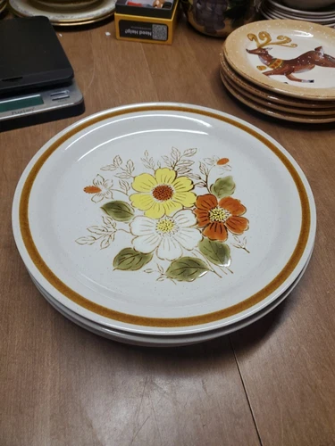 4 Old Brook Collection Stoneware Stonecreek 10.5” Dinner Plates Euc Bin 112