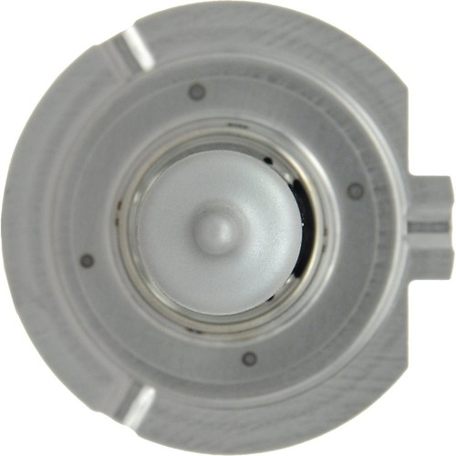 Flosser MegaBlue H7 55W Stock Two Bulbs Head Light Low Beam Replacement Stock - Picture 3 of 6