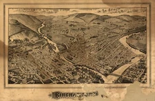 16" x 24" 1882 Map of Binghamton New York United States