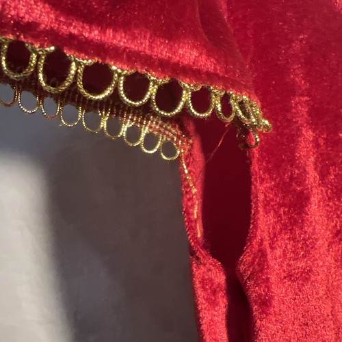 I Want To Be Girls Princess Dress Up Red And Gold 7/8 Long Ruffled Pageant Sash - Picture 12 of 18