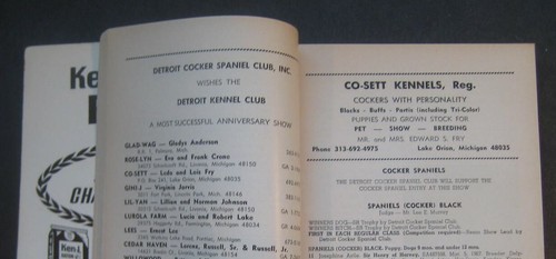 Detroit Kennel Club Golden Anniversary Show held Sunday, March 3, 1968 - Picture 4 of 9