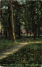 Pretty Spot in Kimberly near Appleton Wisconsin Divided Postcard Posted 1912