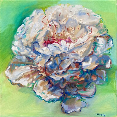 Oil painting ORIGINAL art White peony Festiva Maxima Flower floral artwork 14x14
