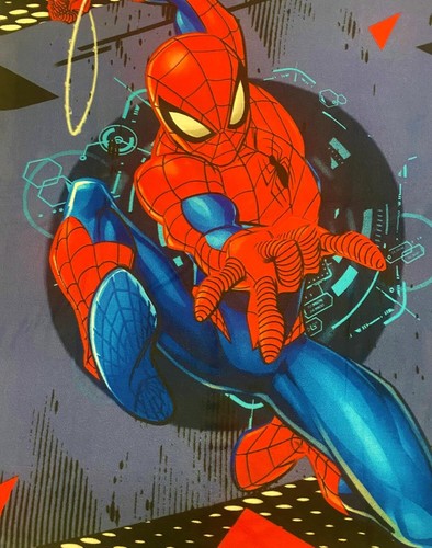 Girls Cozy Fleece Throw Blanket with Extra Soft Fun Design (Spiderman) - Foto 6 di 10