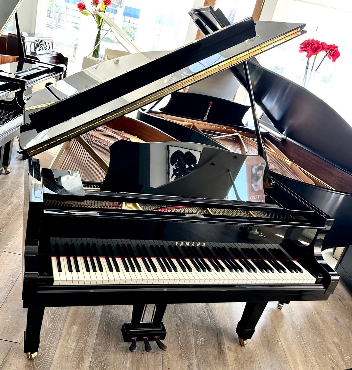 Yamaha C-3 Grand Piano 6'1