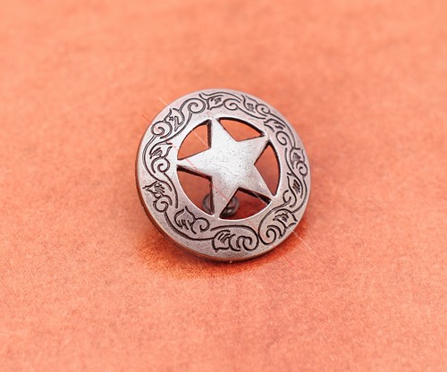 10Pcs Retro Texas Star Flower Carved Leathercraft Belt Saddle Conchos Screwback - Picture 10 of 25