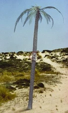 Royal Model 1/35 Palm Tree [Resin and Photo-etch Diorama Accessory kit] 056