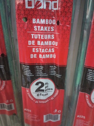 75 PACK BAMBOO PLANT STAKES GREEN GARDEN/ FLORAL STICK SUPPORT 2 FOOT STURDY - Picture 6 of 10