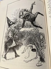 Beyond The Looking Glass Works of Fairy Tale Art Fantasy Poems Color Plates Book