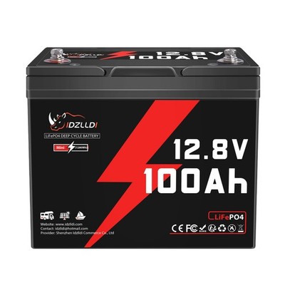 12V 100Ah Mini LiFePO4 Lithium Batterie, 100A BMS 1280Wh für Wohnmobile Camping