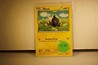 Blitzle 26/30 XY Trainer Kit: Pikachu Libre & Suicune Regular (#4290)