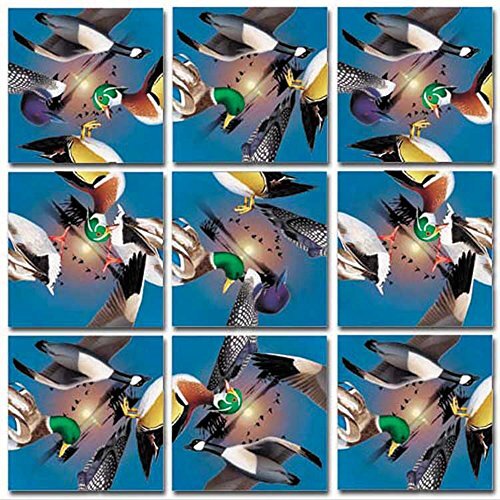 Квадраты для скремблирования: Водоплавающие птицы