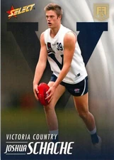 2015 Brisbane Lions AFL Select Future Force Rookie Card - Josh Schache