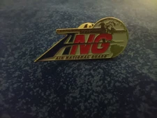 Air National Guard Pin ANG Guarding America Defending Freedom by Rixstine