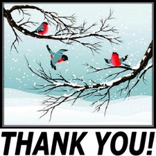 30 Custom Winter Bird Thank You Personalized Address Labels