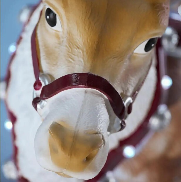 HOME ACCENTS HOLIDAY 4.5' LED MALE REINDEER CHRISTMAS YARD DECORATION BLOW MOLD eBay