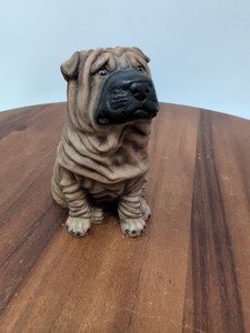 Castagna Shapei - Brown #B15 - In excellent condition.