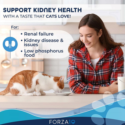 Kidney Care Cat Food  Renal Support Wet Cat Food with Lamb, 3.5 Oz Cans,  32 Pac | eBay