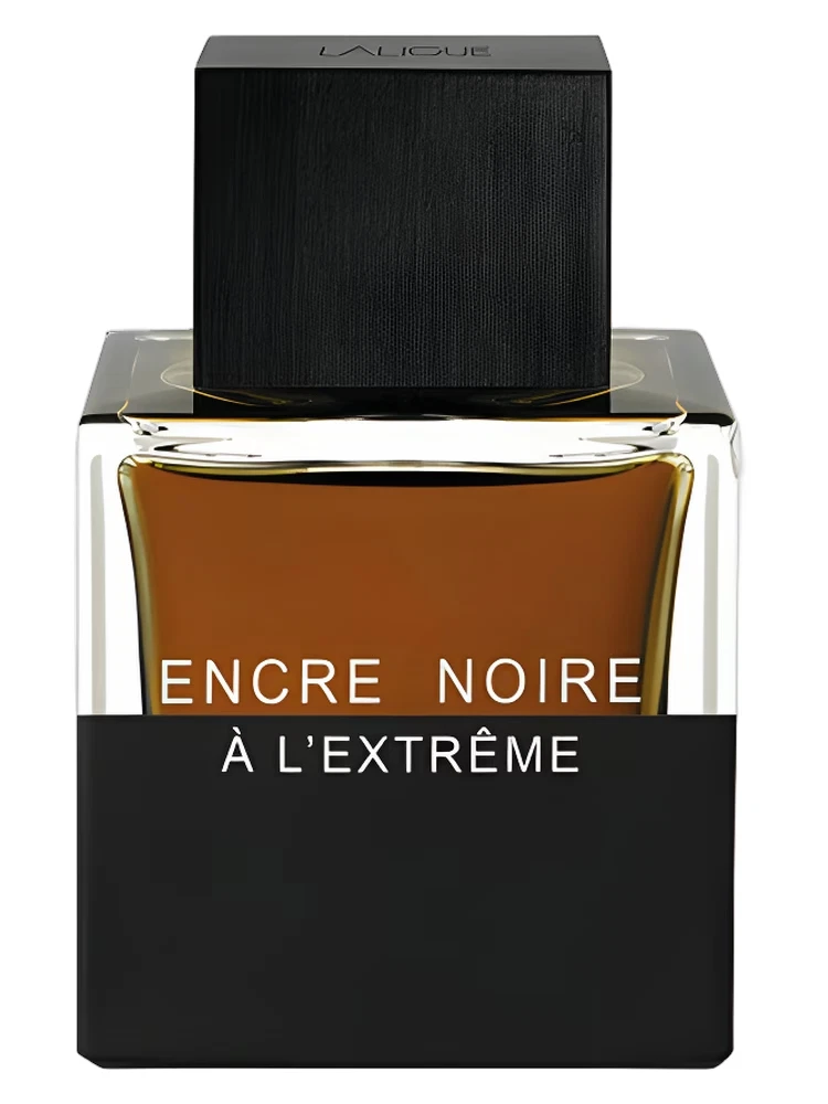 Lalique Encre Noire Fragrances for Men for sale | eBay