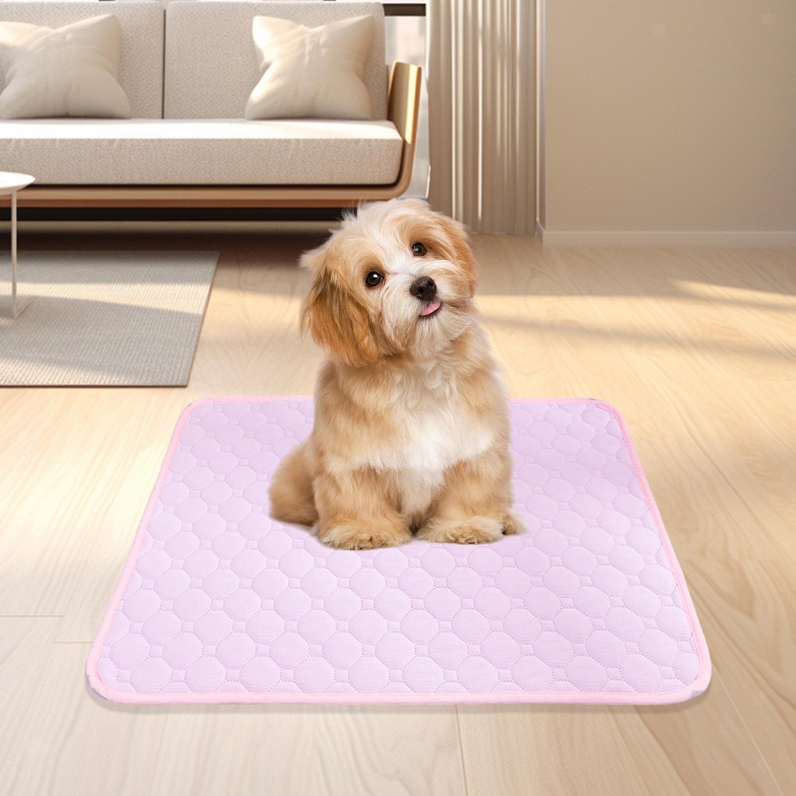 Tappetino Lavabile Per Pipì Per Cani, Spessore Leggero, Accessori Per Gabbia, foto 3