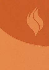 Biblia de Estudio Vida Plena - Ampliada Y Actualizada (Imitación (Leather Bound)