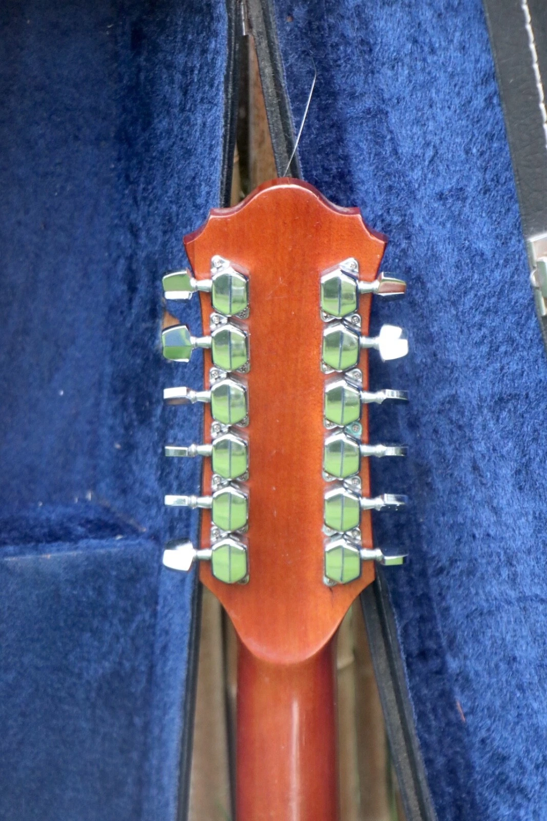 Picture 6 of 9